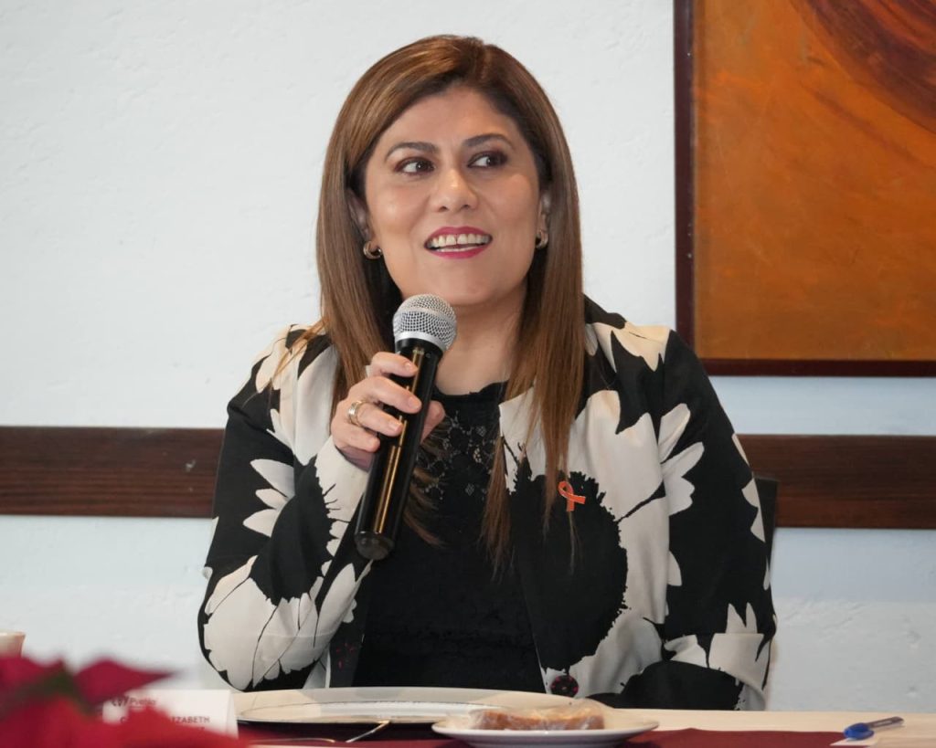 Alianza Universitaria por el Gobierno Abierto