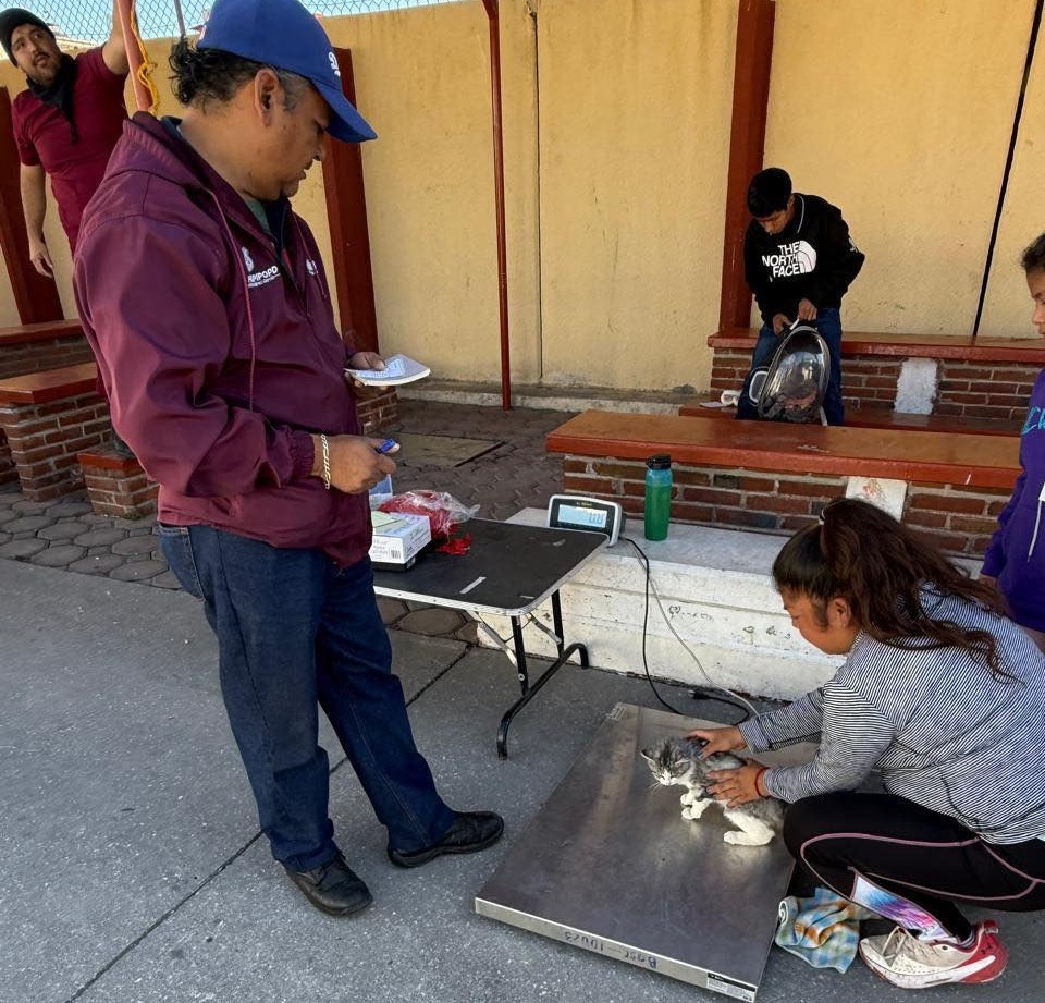 Jornada de Bienestar Animal