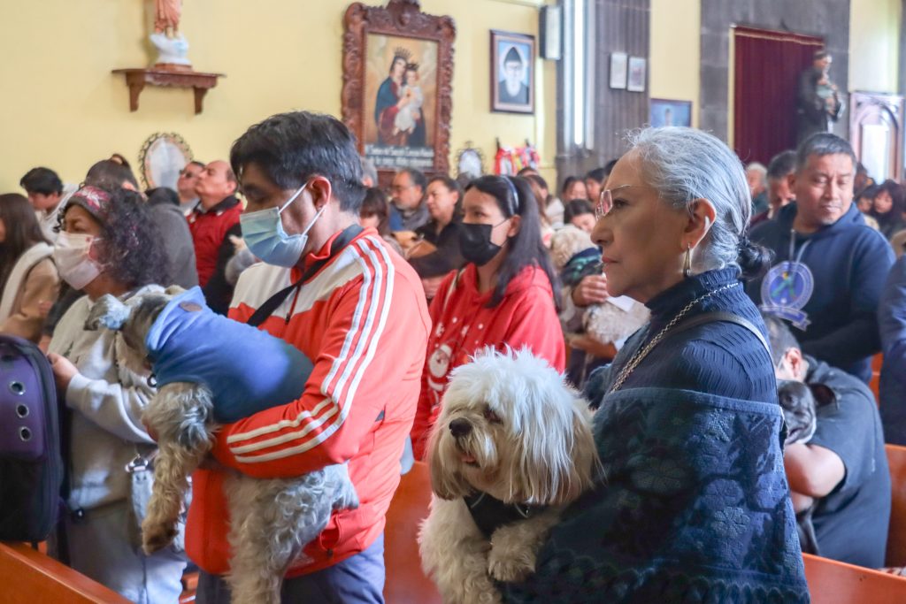 Día de San Antonio Abad