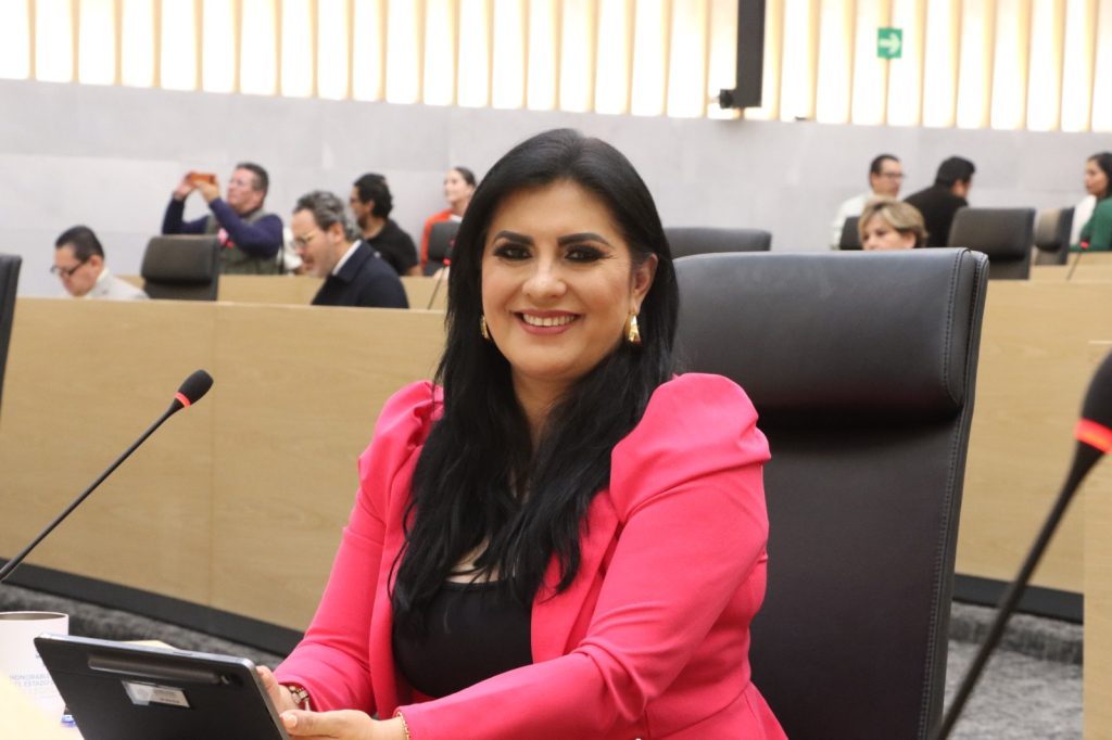 Impulsa la diputada Delfina Pozos modificaciones al Código de Instituciones y Procesos Electorales