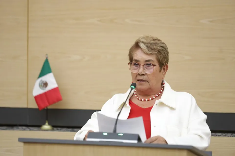 Presenta diputada Modesta Delgado punto de acuerdo para fortalecer el programa de estufas ecológicas en comunidades rurales