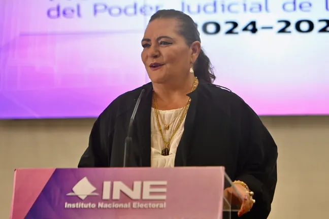 Guadalupe Taddei presenta su renuncia al INE y la Cámara de Diputados pone en marcha su proceso de sustitución