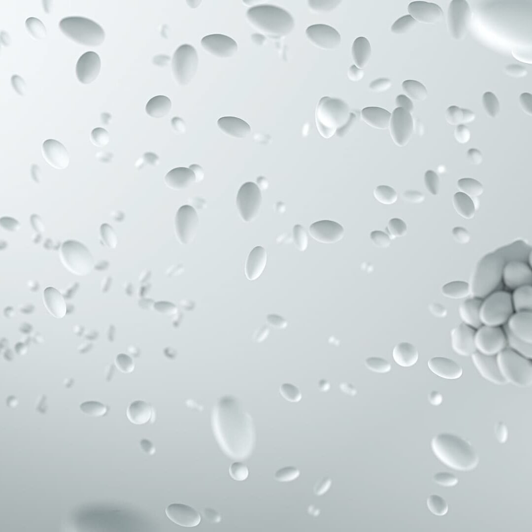 Adidas - Media Work design work cover image