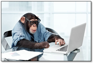 Monkey Computer Stock Photos, Pictures & Royalty-Free Images - iStock