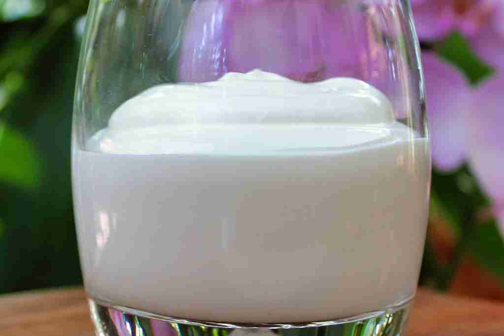 dairy-free heavy cream substitute