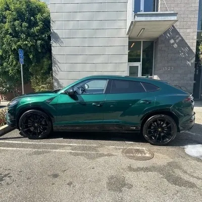British Racing Green Lamborghini Urus gleaming after a premium detail, side profile
