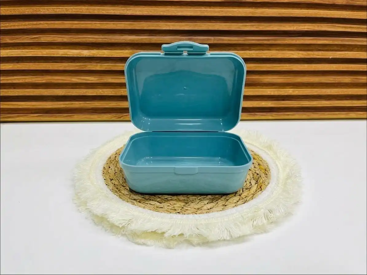 Lunch Box Pratique et Colorée