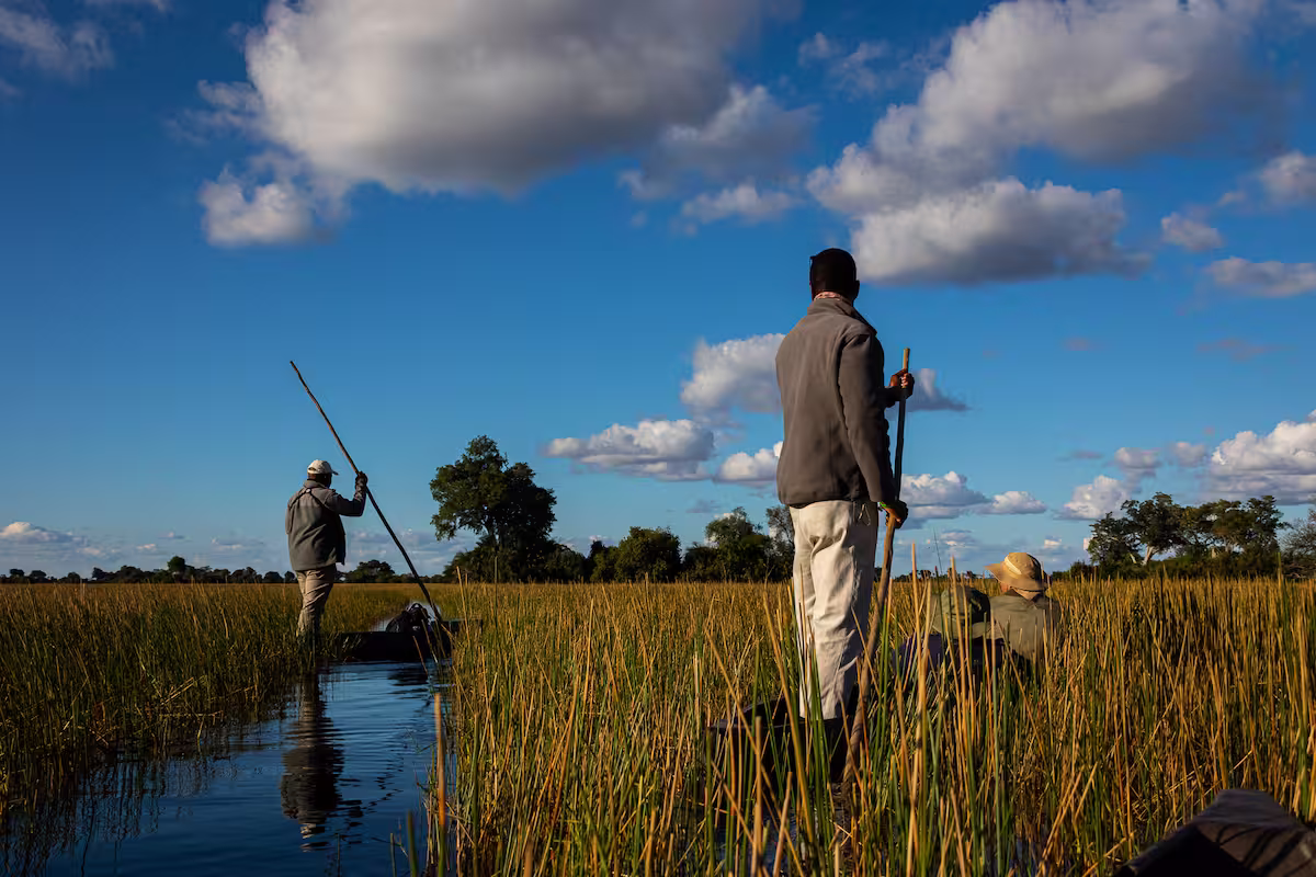 What are Included in a Luxury Safari Package in Botswana?