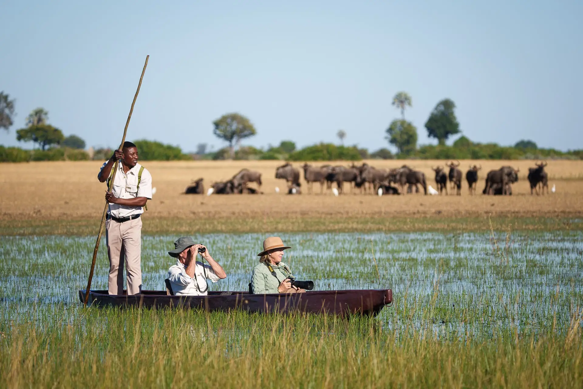 Botswana Luxury Safari