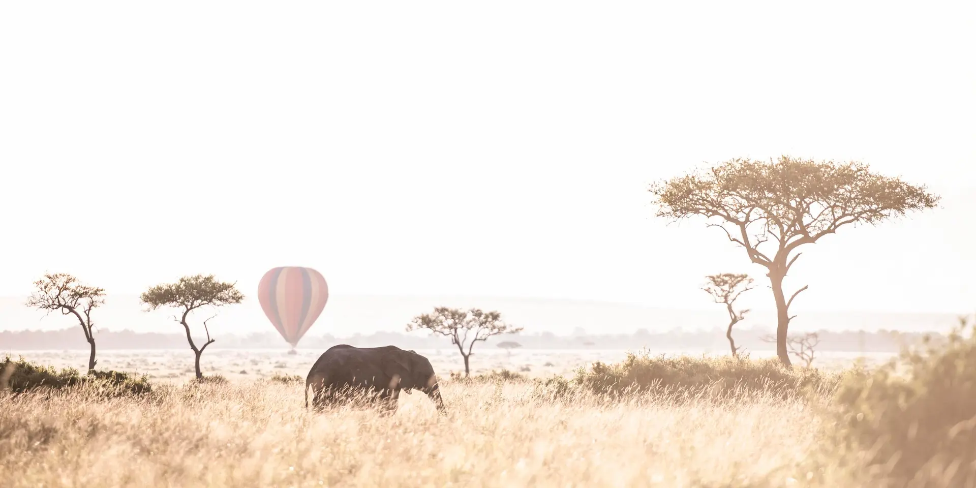 Why Choose Kenya for Luxury Safari?