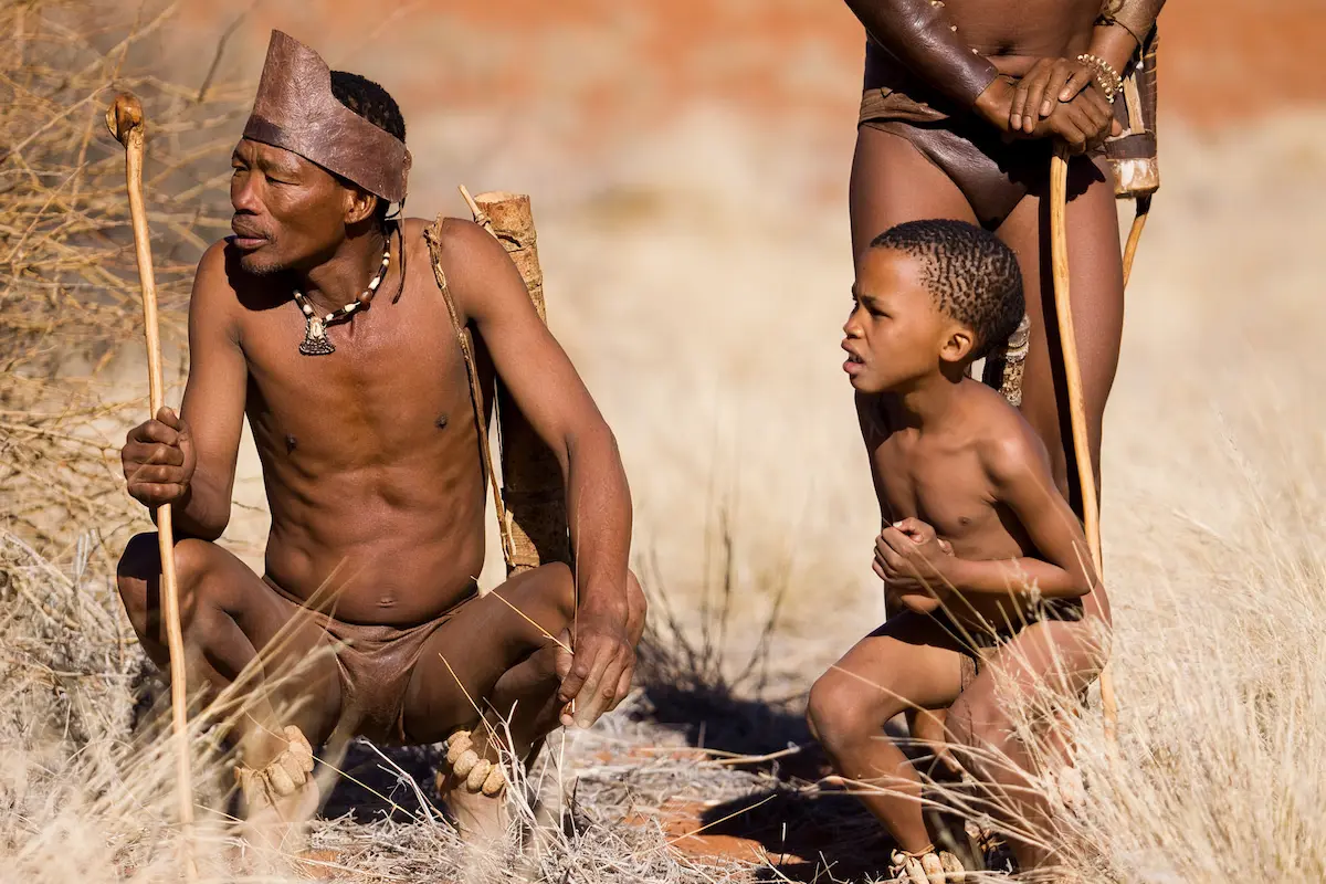 When is the Best Time to Visit Namibia for Luxury Safari?