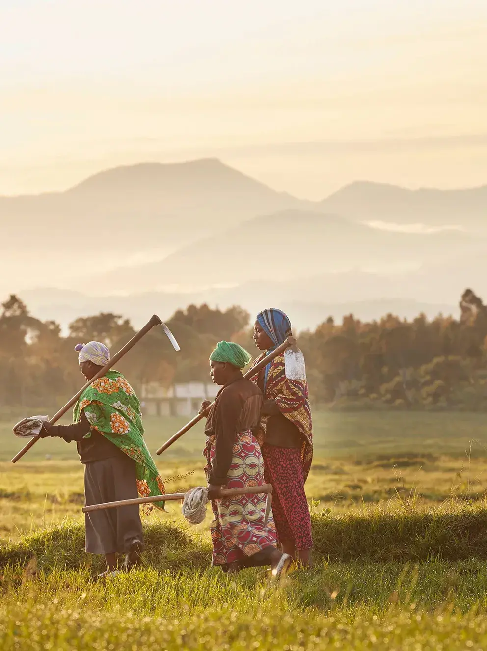 What Activities are Best for Luxury Safari in Rwanda?