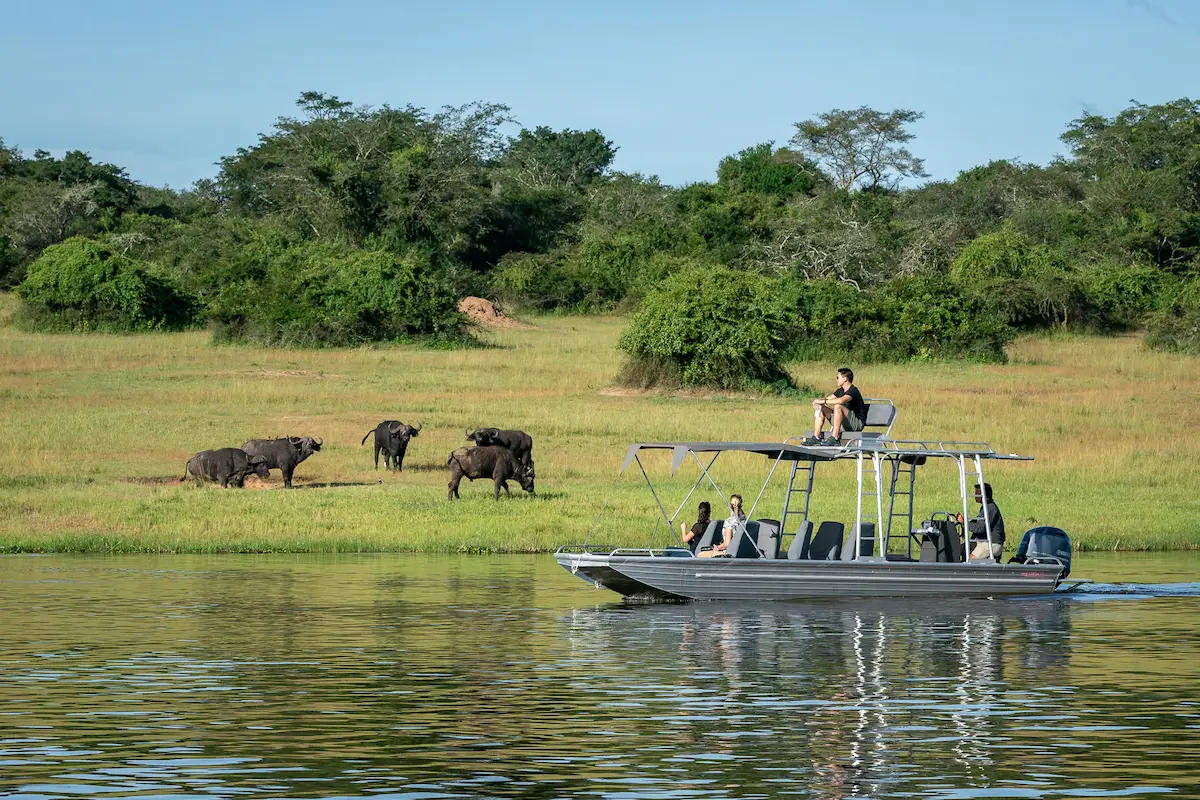 Why Choose Rwanda for a Luxury Safari?