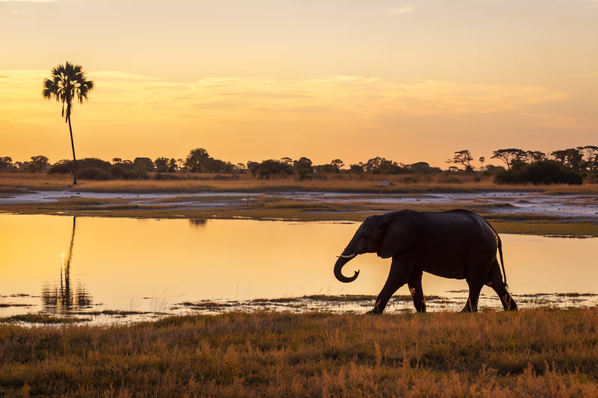 Luxury Safari Zambia