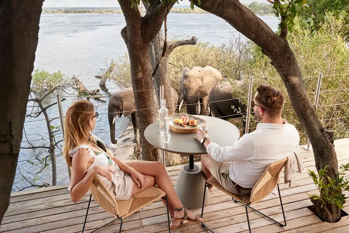 Why Choose Zimbabwe for a Luxury Safari?