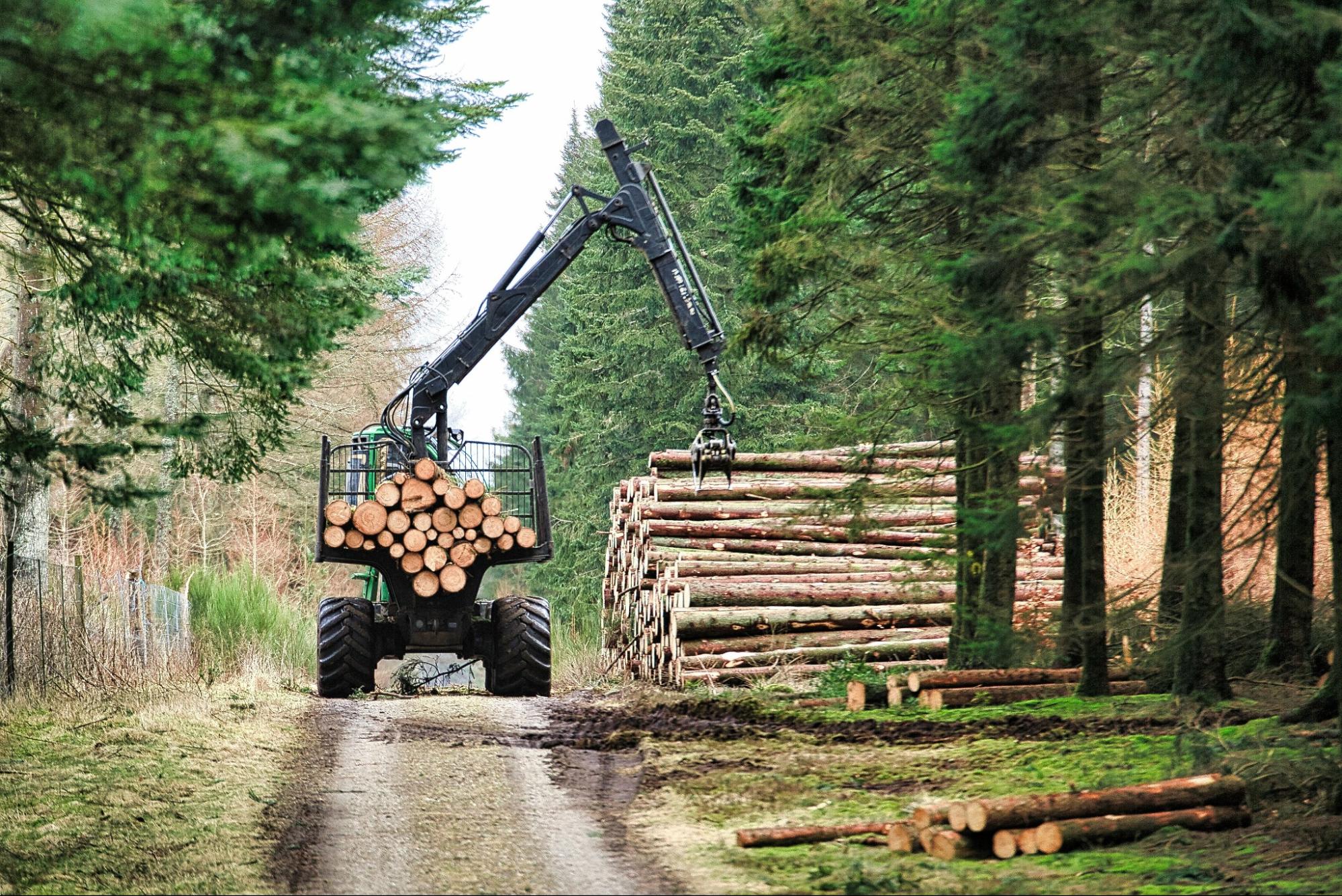 Forsttechnik: Robust für Wald und Forst Forsttechnik: Robust für Wald und Forst