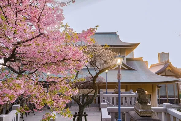 Tokyo Travel Guide – Beginner-Friendly Itinerary