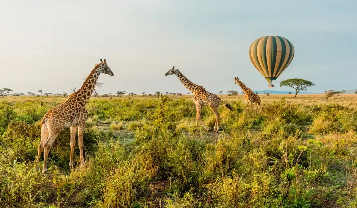 6 Days Circuit Kenya safari tour package from Masai Mara