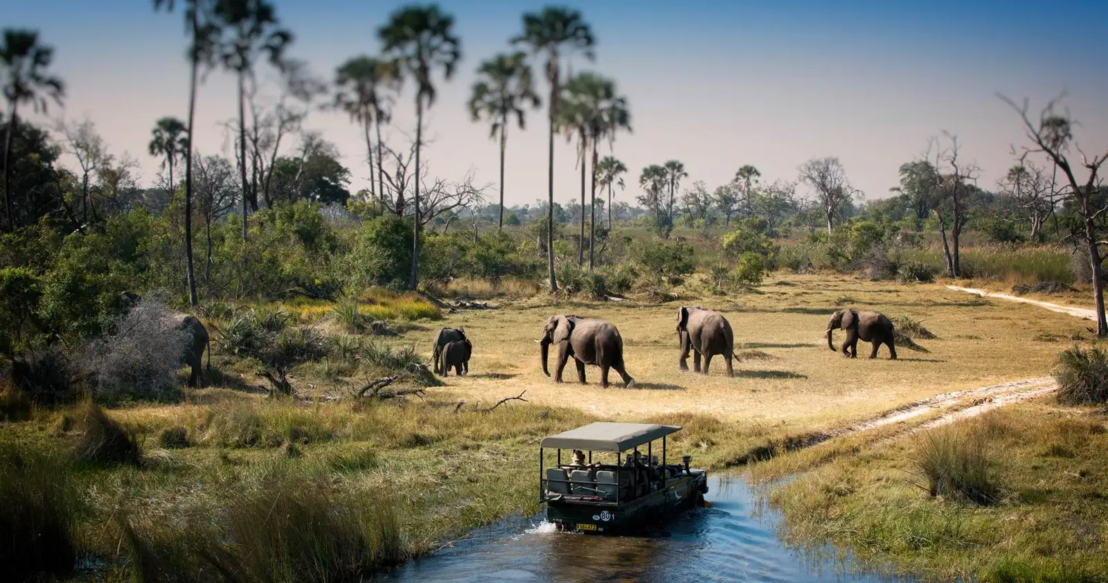 5 Days in Botswana with Chobe River and Okavango Delta