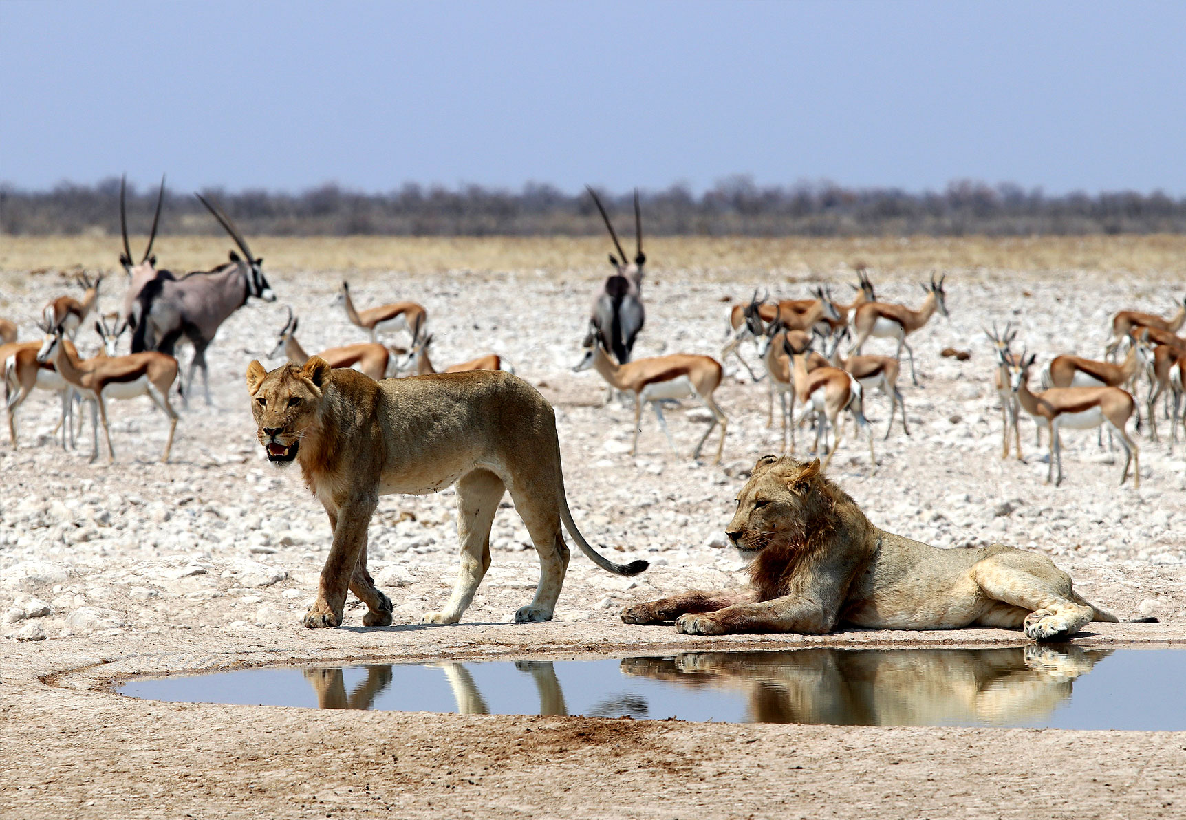5 Days in Namibia to Etosha National Park