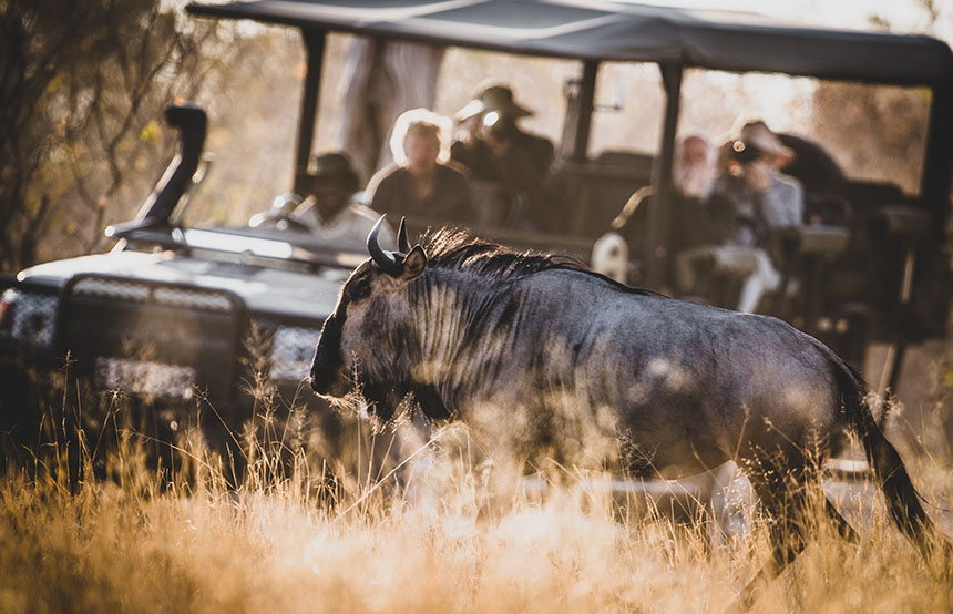 7 Days Best of Botswana and Namibia Safari Holiday Tour