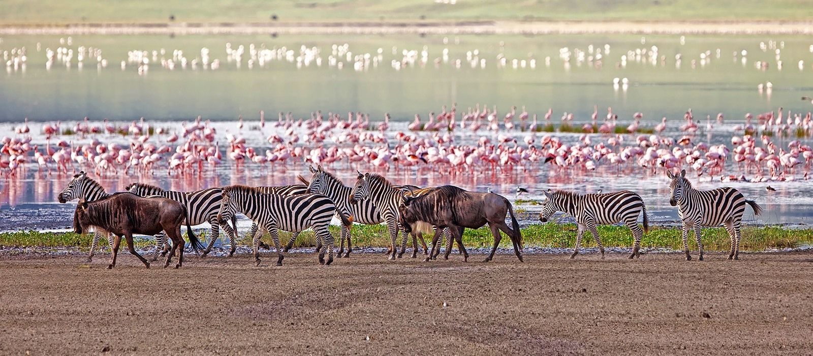 8-Day Zanzibar Tour with Beach experience and Lake Manyara