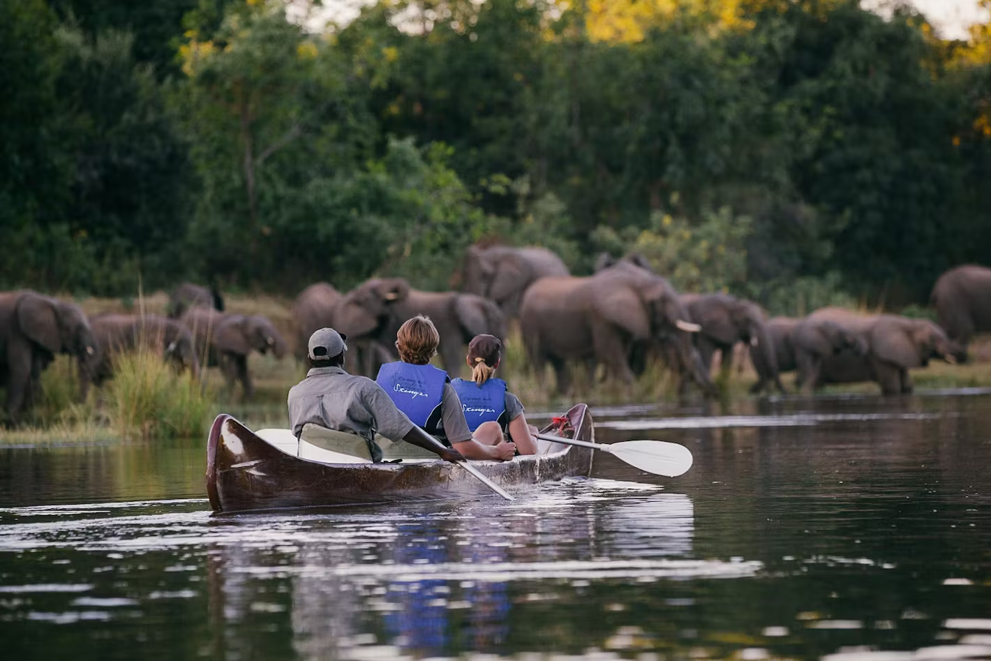 5 Days Best Zambia Safari to Lower Zambezi National Park
