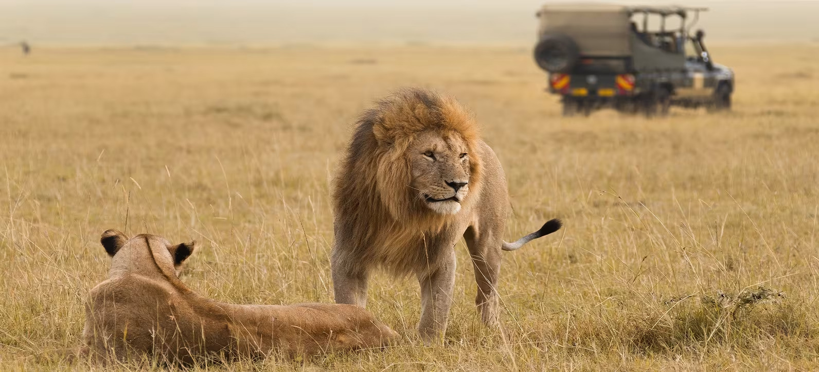 5 Days Best Kenya Tour and Zanzibar Beach Trip