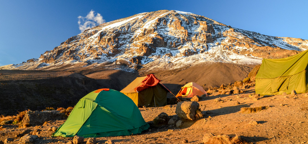5 Days Best Kilimanjaro Tour and Lake Manyara Tanzania Safari