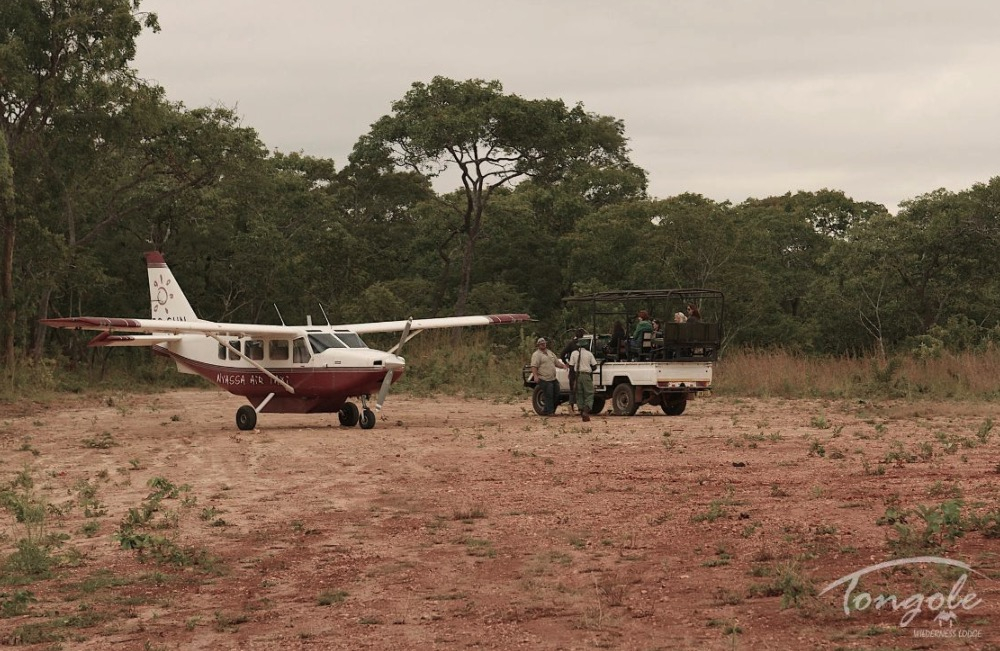 6 Day Best Safaris in Malawi with Wilderness experience