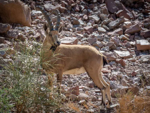 St. Catherine National Park