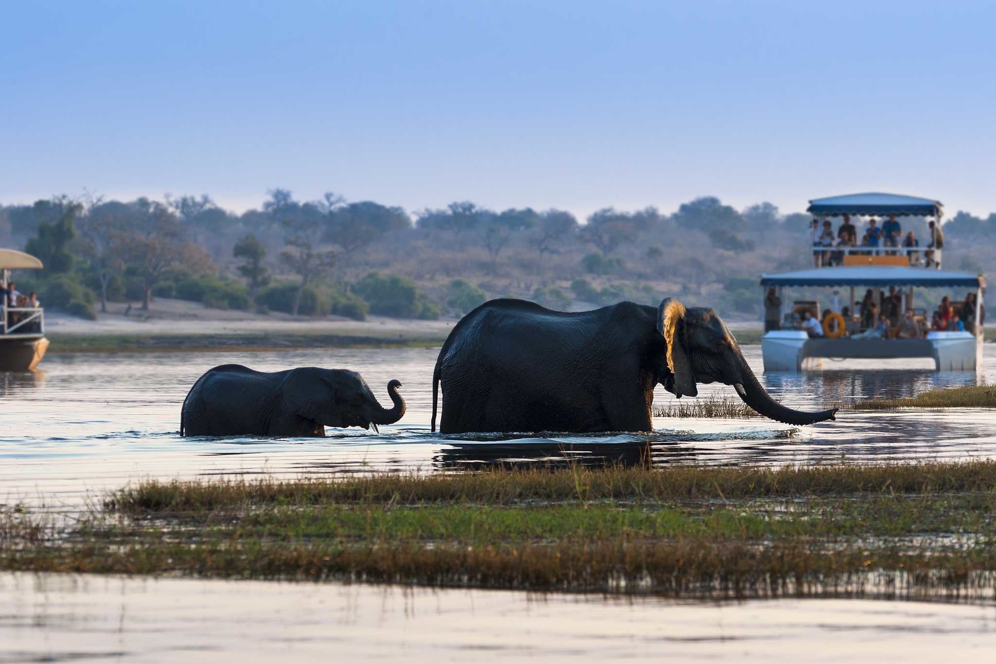 Chobe National Park