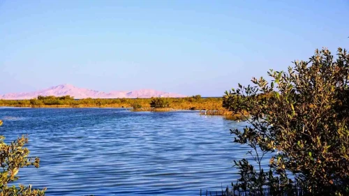 Nabq Protected Area