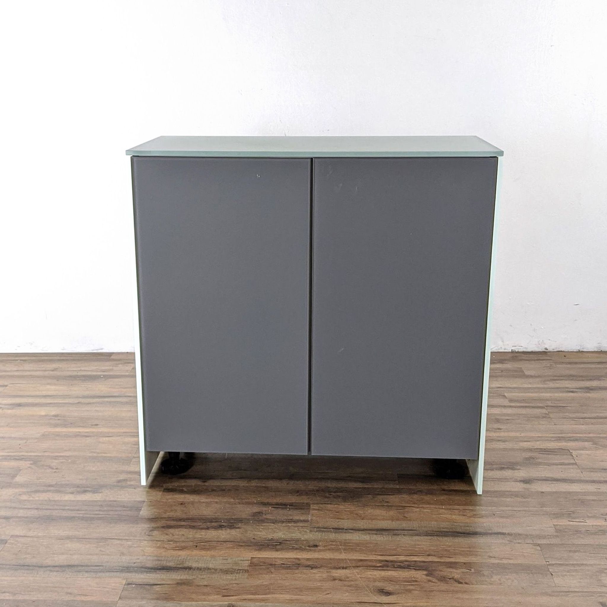 Custom Frosted Glass Cabinet - image 0