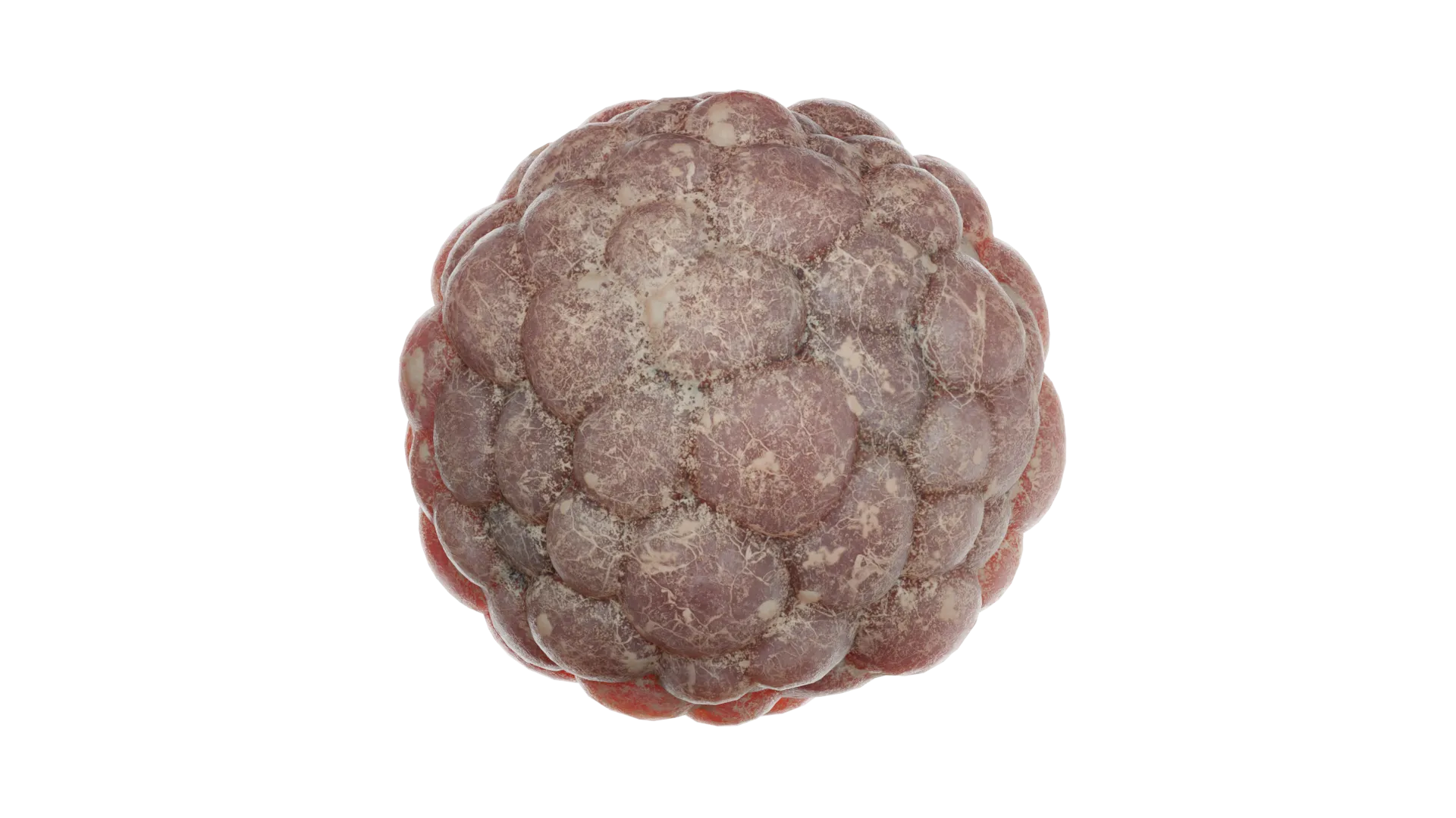 Day 7