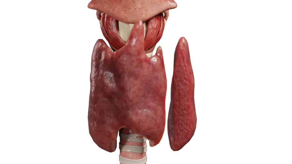 Лекарственно индуцированный