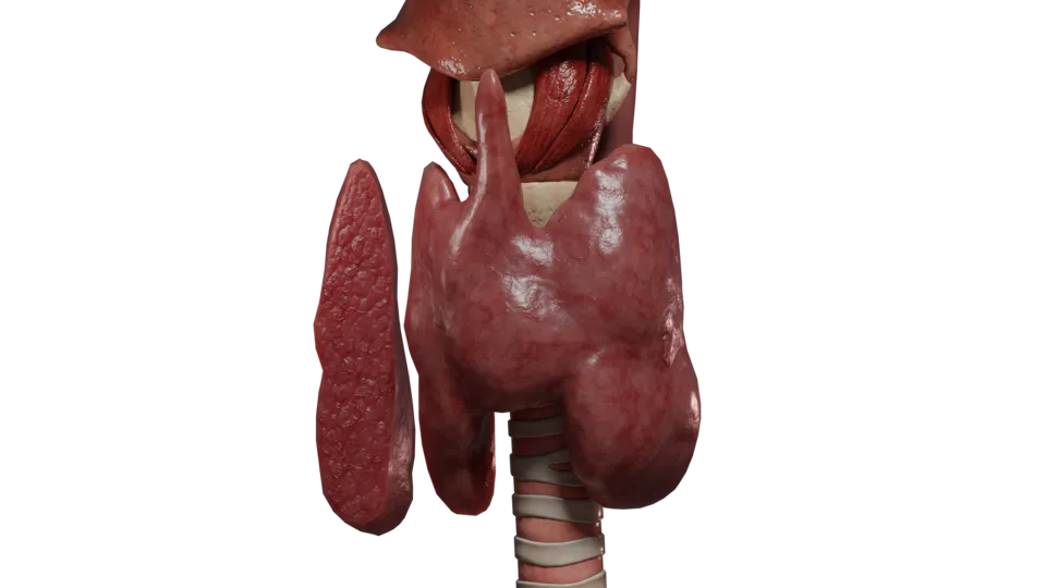 Thyrotoxicose d'origine médicamenteuse