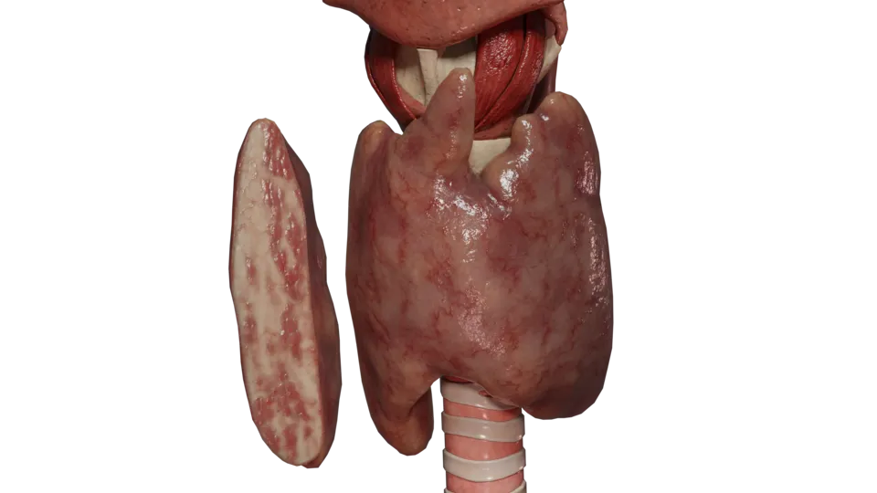 Радиационно-индуцированный