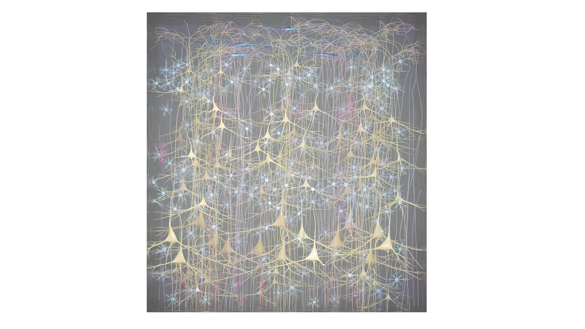 Modèle 3D de microanatomie du cortex cérébral