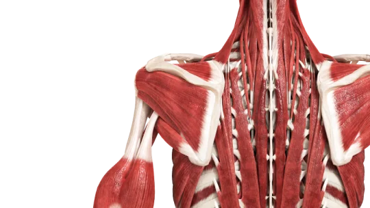 Medical store 3D models preview
