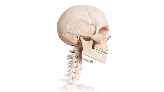 Medical store images preview