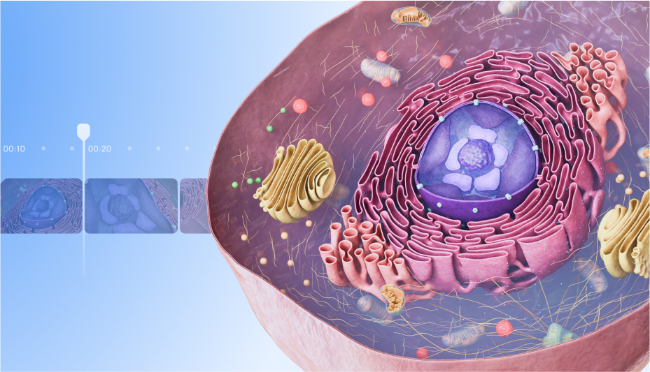 Animation 3D de la structure cellulaire : améliorer la recherche pharmaceutique et le développement de médicaments