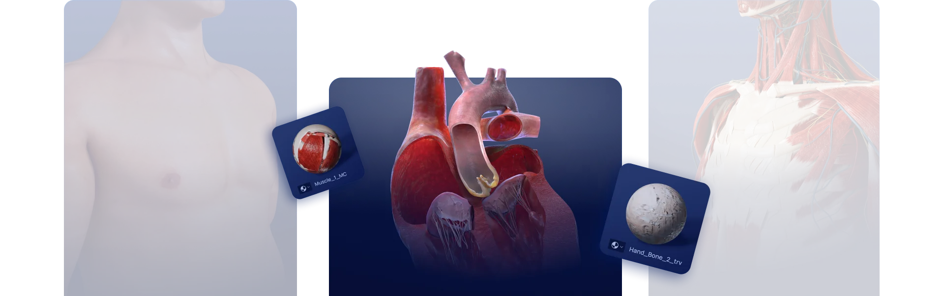 Hai un modello 3D specifico in mente? 
