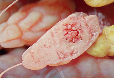 High-fidelity renders