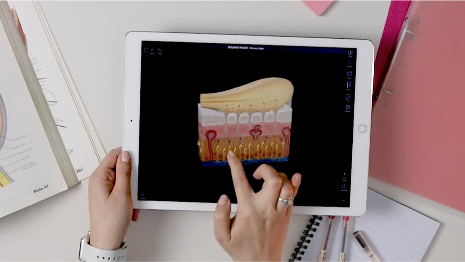 VOKA 3D Anatomy & Pathology for academic use
