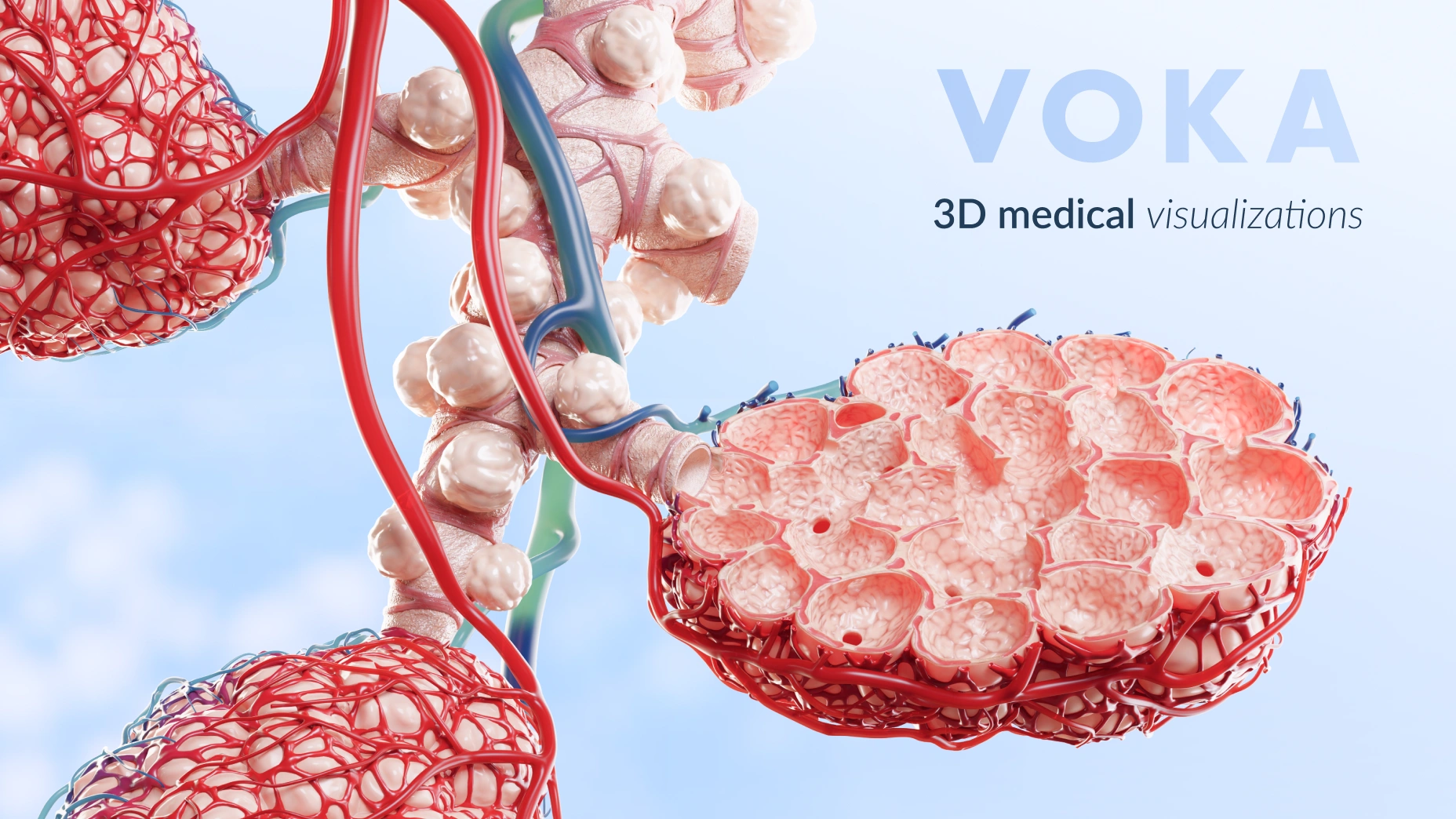 Come le visualizzazioni mediche 3D cambiano la comunicazione sanitaria
