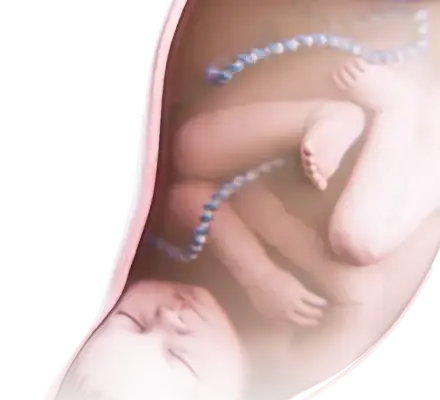 tipos de imágenes patológicas