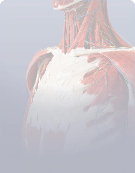 Cta image