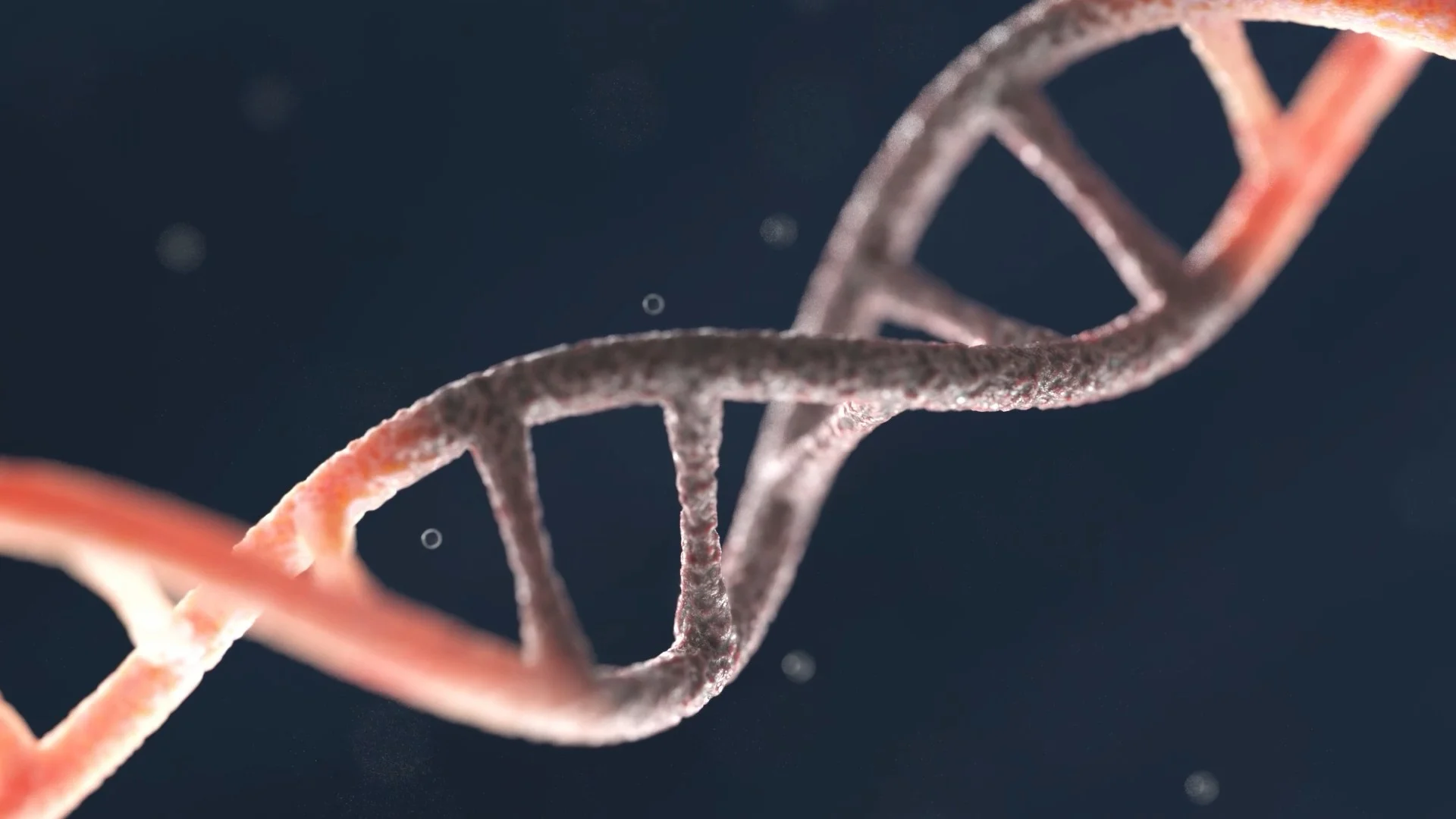 A close-up 3D visualization of a DNA double helix, highlighting the intricate molecular structure of the base pairs and sugar-phosphate backbone.
