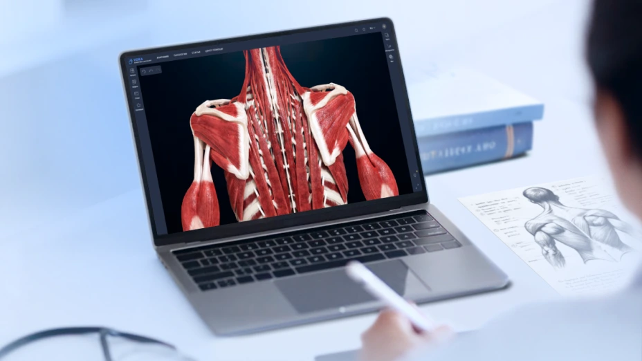 VOKA 3D Anatomy & Pathology for teaching